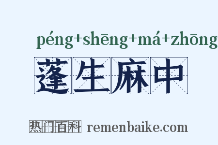 蓬生麻中是什么意思的图片